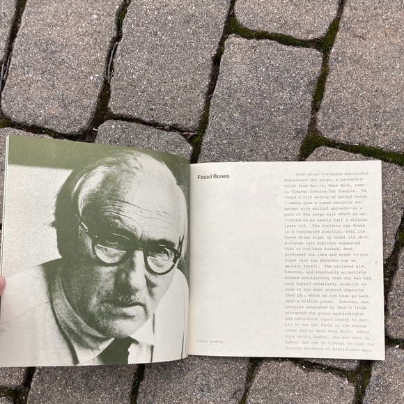 1972 Nutcracker Man Education Developments Hominid Fossil Caveman Apes Sciences - Picture 9 of 10